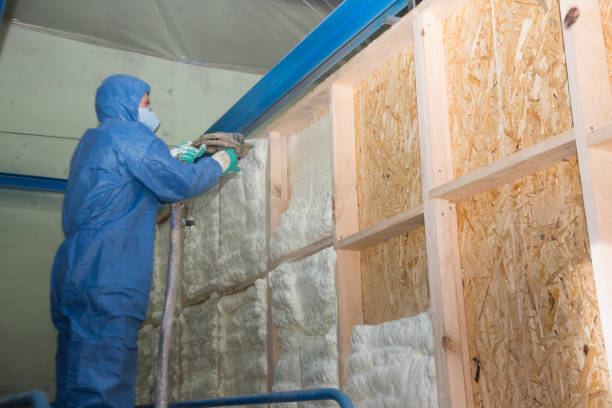 Best Insulation Contractor Near Me  in Clifton, TX